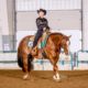 2021 APHA (RR) gelding by When in Chrome