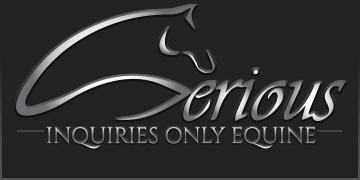 Serious Inquiries Only Equine