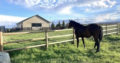 5-Acre Horse Property Colorado Springs – 5BDRM