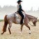 Finished High Caliber Red Roan All-Around Gelding