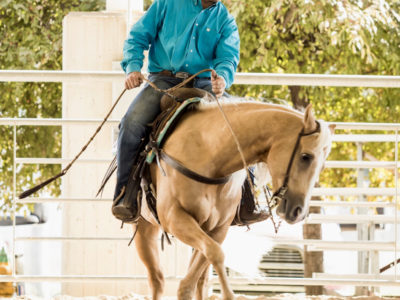 Stunning Palomino Ranch Rider