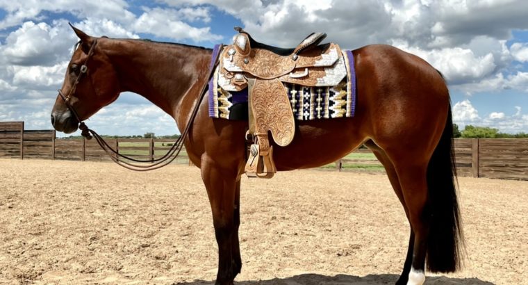AQHA/APHA (solid) HeartStoppin 2yr Mare