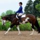 All-Time Fancy APHA HUS All-Arounder