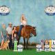 These Assets R Hot – ABRA/AQHA