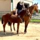 Surely Im Good Bay Weanling Filly