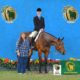 World Caliber HUS Mare – English All-Arounder