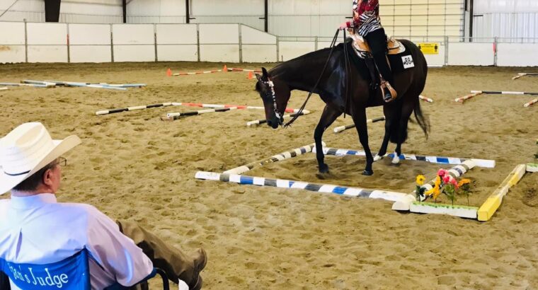 Gorgeous RL Best Of Sudden gelding