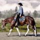 Full Double AQHA/APHA All-Around Mare