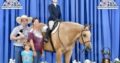 High Caliber Palomino All-Around Gelding