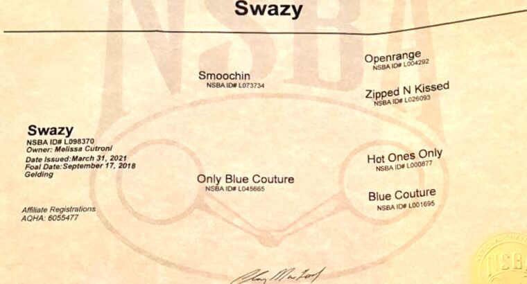 Swazy- Accomplished English/All-Around Prospect