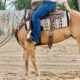 Palomino Ranch Riding/Reining Mare