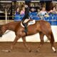 AQHYA World Champion True All-Around Mare