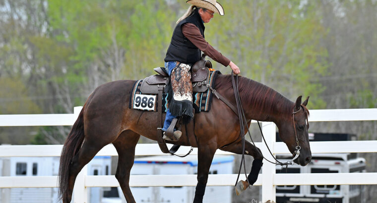 Gorgeous 2013 Mare by Magnum Chic Dream