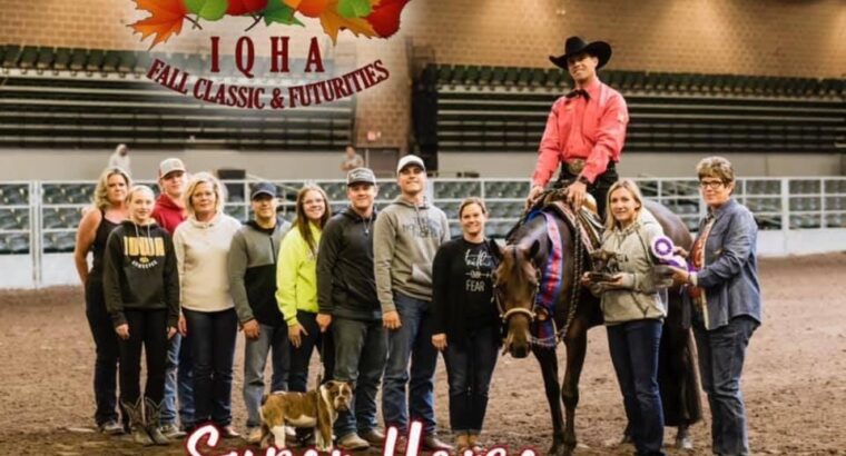 High Caliber All-Around Mare