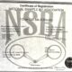 FULL AQHA/APHA/ABRA/NSBA Yearling Dun Gelding