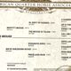 FULL AQHA/APHA/ABRA/NSBA Yearling Dun Gelding