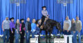 2017 16.1H AQHA All Around Mare – Movin On Up