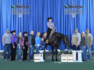 2017 16.1H AQHA All Around Mare – Movin On Up