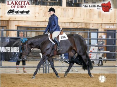2017 16.1H AQHA All Around Mare – Movin On Up