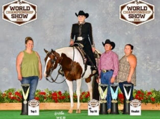 APHA Proven All-Around Mare