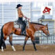 Stunning mare perfect for beginner