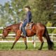 No Doubt Im Lazy WP/All-Around Prospect Gelding