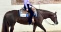 FULL Double Its A Southern Thing Broodmare