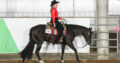 Proven and Pretty Western All-Around Gelding