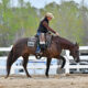 AQHA Spayed Mare by Magnum Chic Dream