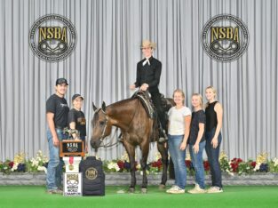 High End All-Around Deluxe Mare