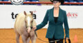 Gorgeous Palomino Weanling Halter Colt