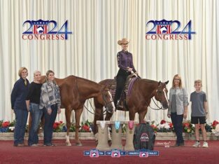 TRIPLE REGISTERED All AROUND GELDING