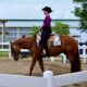 Kid Friendly All-Around Mare