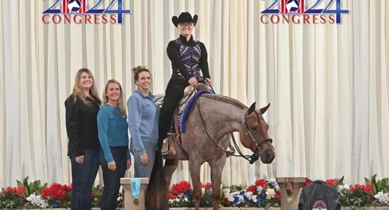 Its A Southern Thing 3YO Mare