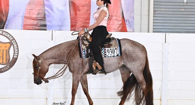Its A Southern Thing 3YO Mare