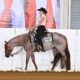 Its A Southern Thing 3YO Mare