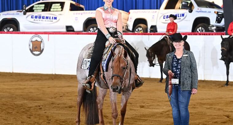 Its A Southern Thing 3YO Mare