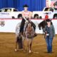 Its A Southern Thing 3YO Mare