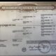High End All-Around Gelding
