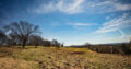 Historic Farm with 48 Acres – Franklin TN