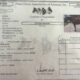 Triple Registered Machine Made All-Around Gelding