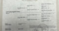 Double AQHA/APHA 2YO Fancy Prospect