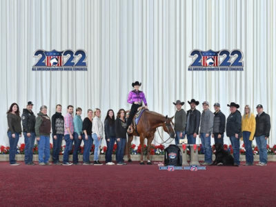 High End True All-Around Gelding
