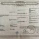 Triple Registered Machine Made All-Around Gelding