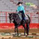 Only In The Moonlite Gelding
