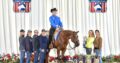 High End OHK Western Pleasure Mare
