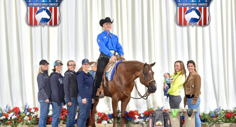 High End OHK Western Pleasure Mare