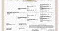 High End OHK Western Pleasure Mare