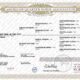 High End OHK Western Pleasure Mare