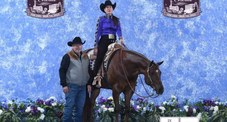 High End OHK Western Pleasure Mare